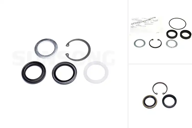 Detailed view of Best Pitman Shaft Seal Kits